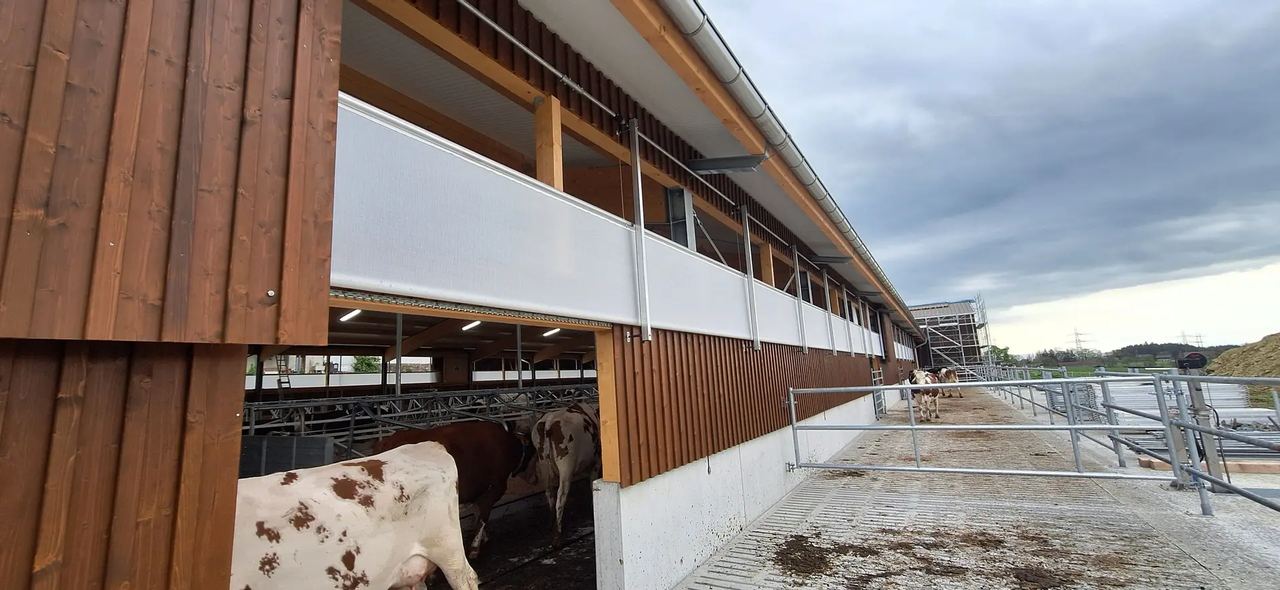 Aussenansicht des Laufstalls mit Holzfassade, Kühe am Fressgitter